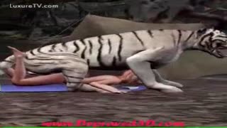 Дики дарози паланг писаи зоофили русро пора мекунад