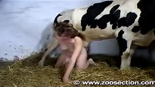 Bir ayol o'zini sigirning mushukida sikadi, ikkinchisi esa otni so'radi