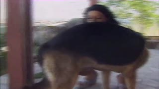Itlar bilan go'zal lezbiyenlar uchun jinsiy terapiya